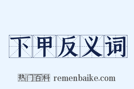 下甲反义词是什么意思的图片